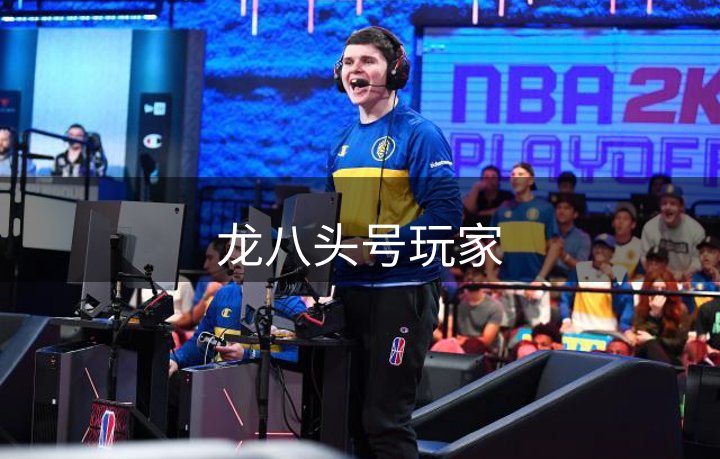 了解龙八头号玩家
